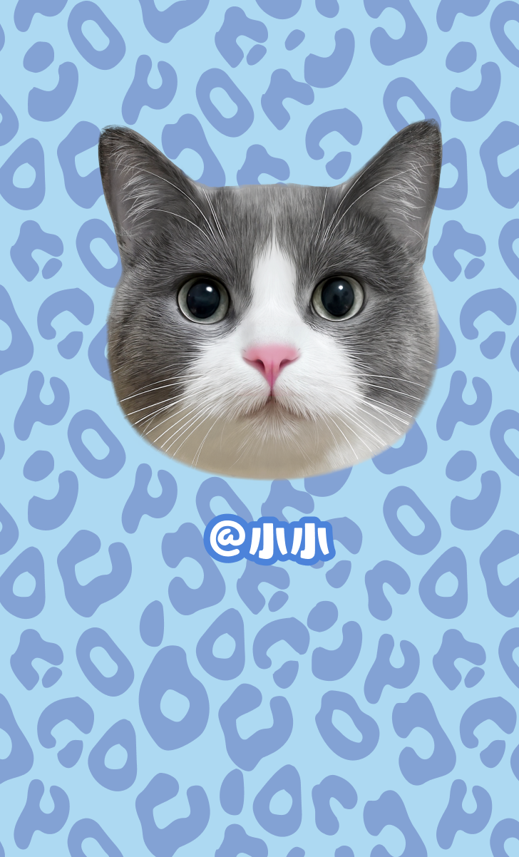 蓝色豹纹猫咪照片，配上中文名字@小小